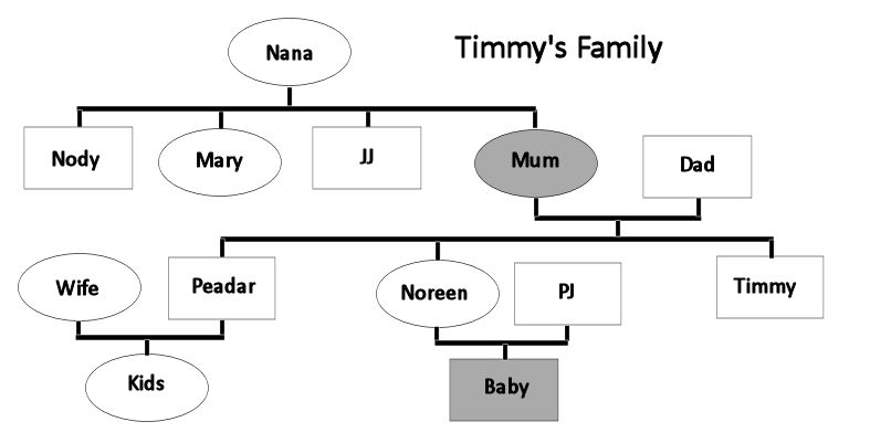 Timmy's Family